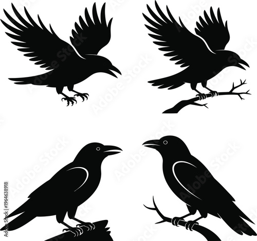 Black silhouettes of crows on branches raven bird flying perched