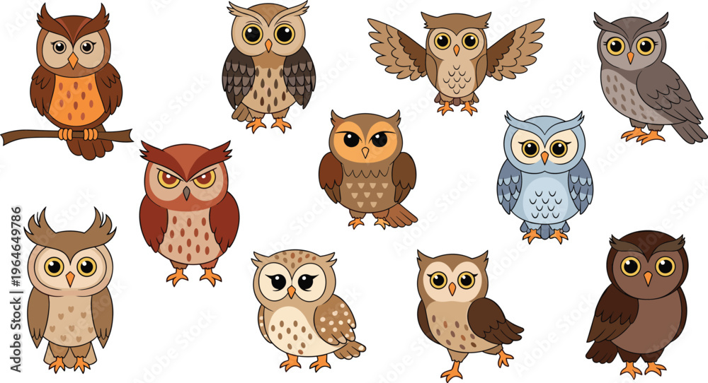 Fototapeta premium Owl Character Vector Set with Different Species and Cute Cartoon Styles for Wildlife Illustration, Forest Animals, Education and Kids Design Collection