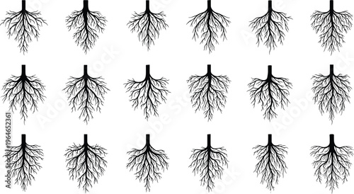 Large collection of black vector tree root systems featuring detailed organic line art silhouettes of plant underground branching for nature science and environmental growth designs.
