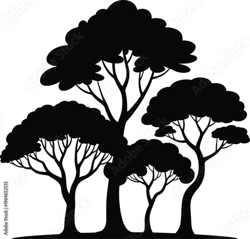 Silhouette of multiple diverse trees growing together
