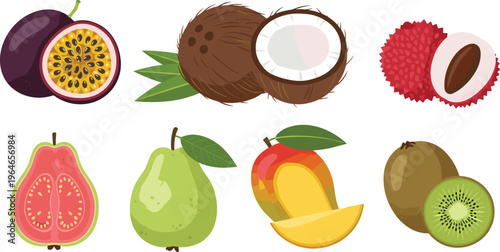 Tropical Fruit Vector Set with Passion Fruit, Coconut, Lychee, Guava, Pear, Mango and Kiwi for Healthy Food Design, Packaging and Organic Illustration