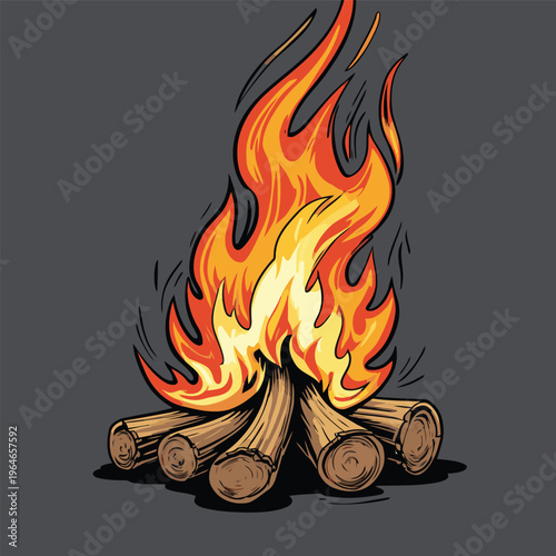 bonfire vector image