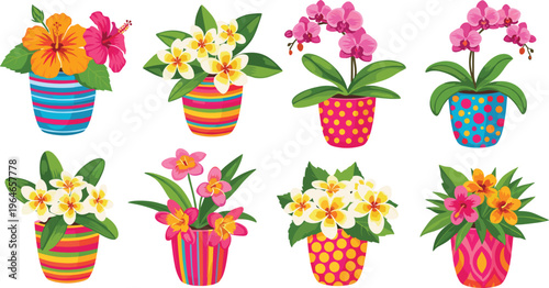 Colorful Flower Pots with Hibiscus, Orchids, and Vibrant Blooms in Bright Striped and Polka Dot Containers