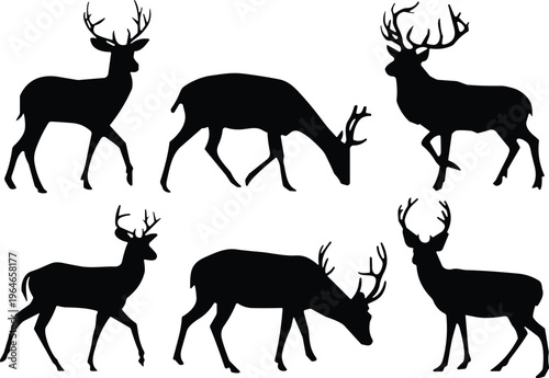 Deer silhouettes collection wild animals set stag buck wildlife forest vector illustration isolated black design