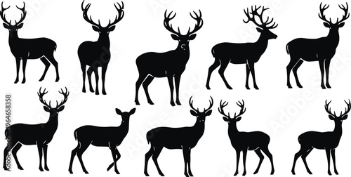 Deer silhouettes set wildlife animals collection stag buck forest nature vector illustration isolated black design