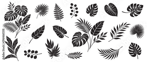 Minimalist tropical leaves collection in bold black silhouettes, featuring monstera, palm, and fern elements. Clean botanical set isolated on white background for modern design projects.