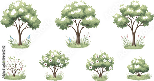 Watercolor tree elevation vector with flowers grass and blooming shrubs landscape design isolated on white