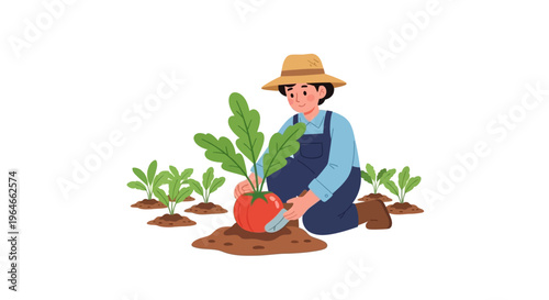 Gardener Planting Tomato Plant with Trowel in Lush Garden - Organic Agriculture, Sustainable Farming, and Healthy Food Production Illustration