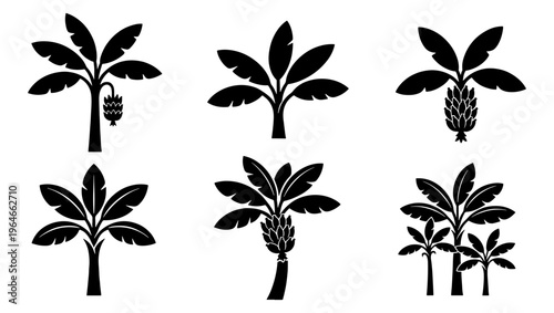 Tropical banana tree silhouette collection, set of 6 exotic palm plant icons, black botanical vector elements for summer branding and logo design