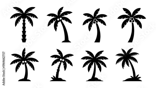 Tropical palm tree silhouettes, set of 8 coconut tree vector icons, black summer beach plant elements for vacation and travel design