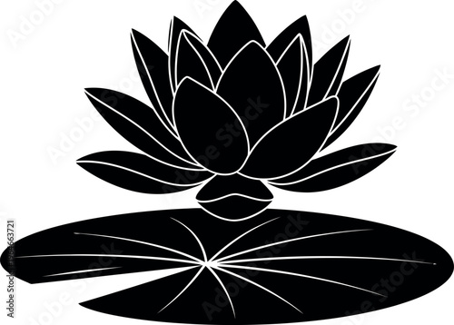 Silhouette of a lotus flower and leaf on water surface