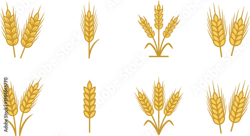 Wheat Stalks Vector Set with Different Styles for Agriculture, Farming, and Natural Food Illustrations