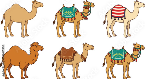 Cute Camel Vector Set with Traditional Saddles and Decorative Blankets for Desert, Wildlife, and Animal Illustrations