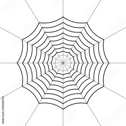 A symmetrical spiderweb illustration with radial and concentric lines