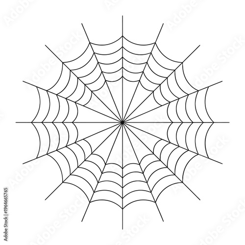 A symmetrical spiderweb illustration with radiating lines and circular structure