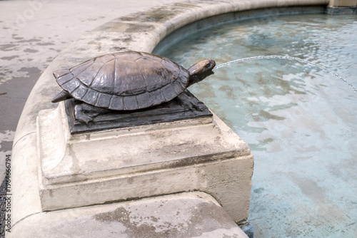 Foto A turtle statute