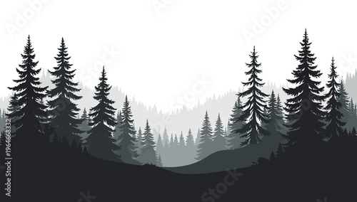 Pine trees silhouettes. Evergreen coniferous forest silhouette, nature spruce tree park 
