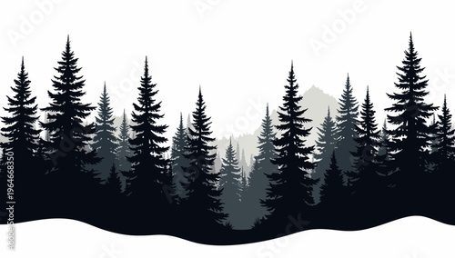 Pine trees silhouettes. Evergreen coniferous forest silhouette, nature spruce tree park 
