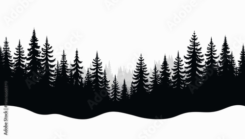 Pine trees silhouettes. Evergreen coniferous forest silhouette, nature spruce tree park 
