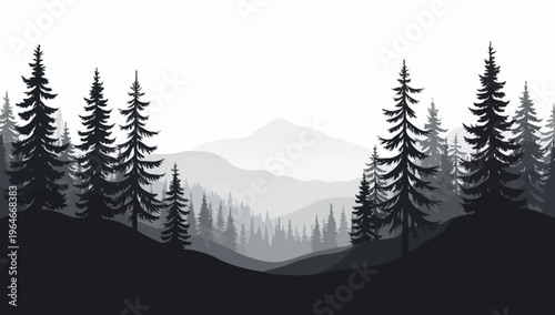 Pine trees silhouettes. Evergreen coniferous forest silhouette, nature spruce tree park 
