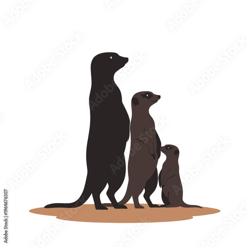 Three meerkats standing upright on a sandy surface looking ahead