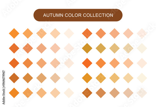 Autumn color collection palette. Diamond shaped swatches in orange and brown tones. Seasonal design theme for branding.