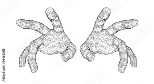 A pair of human hands gesturing.