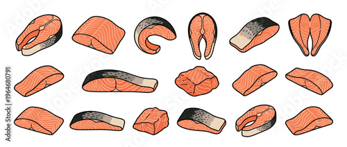 Salmon fish fillets and steaks in various cuts, fresh seafood pieces ready for cooking or culinary preparation.