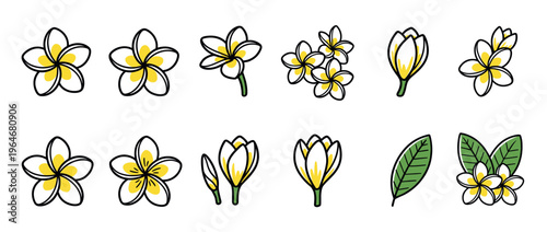 Plumeria flowers and leaves in a charming hand-drawn cartoon style, perfect for tropical designs and summer illustrations.