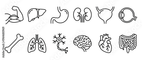 Human internal organs and body parts line art icons set representing various anatomical structures for medical and educational purposes.