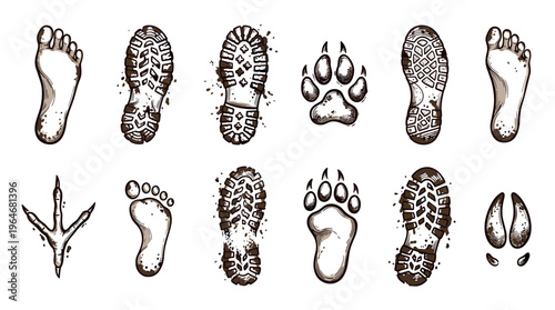 Footprints, paw prints, animal tracks, and shoe prints with mud splatters, a diverse collection of human, wild animal, and boot marks.
