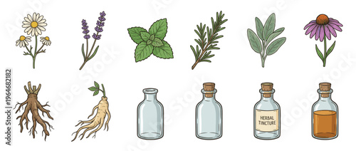 Herbal medicine ingredients and natural remedies collection featuring various botanical plants, roots, and tincture bottles for health.