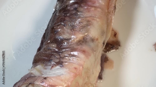 Piece of boiled kingklip on plate, top view close-up