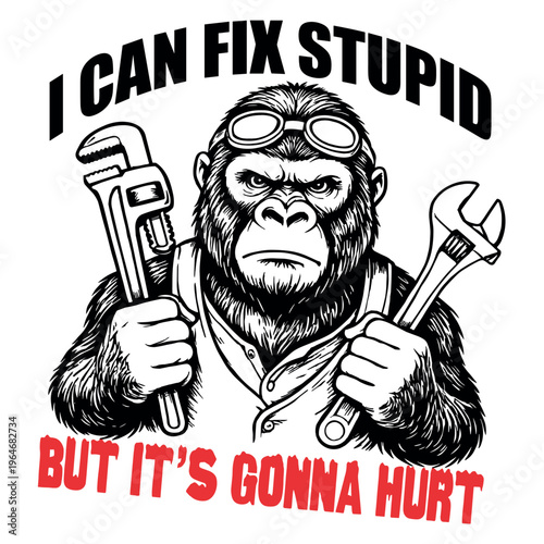 I Can Fix Stupid But It’s Gonna Hurt