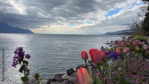 Colorful spring flowers by Lake Geneva with Alps in Switzerland
