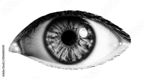 Detailed Human Eye Halftone Illustration – Vision Anatomy Close Up Isolated on White