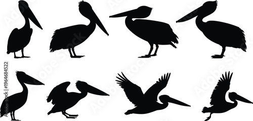 Glitch digital collage portrait with distorted face, data error effect, modern abstract technology background concept