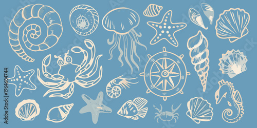 Delicate marine life illustrations in a light airy style silhouette