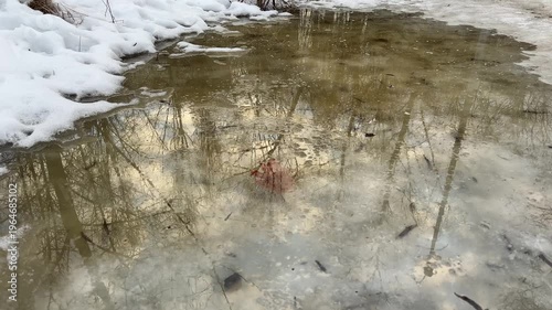Puddle of melt water in spring snowy park in overcast