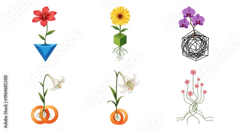 Flowers in various decorative pots.