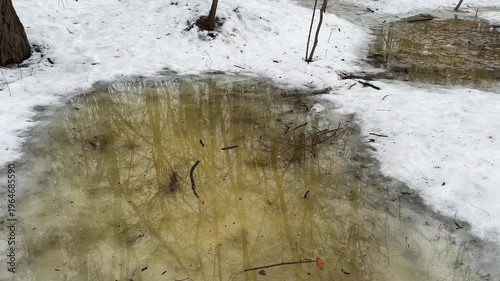 Section of spring snowy park with puddles of melt water