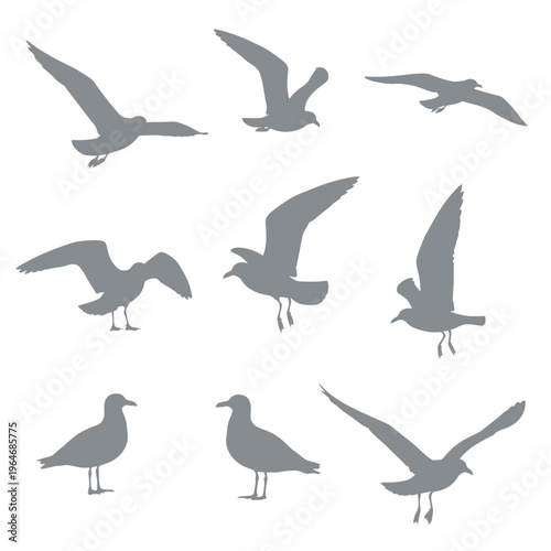 Silhouettes of seagulls in various flight and standing poses