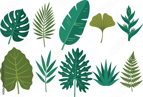 Modern Tropical Leaf Collection Green Botanical Vector Pack
