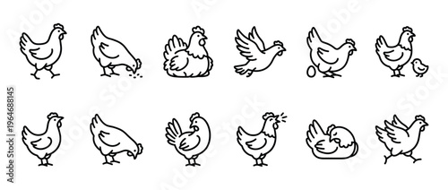 Chicken hen rooster chick poultry line art icons set illustrating domestic fowl in diverse poses and actions for farm, food, and agriculture concepts.