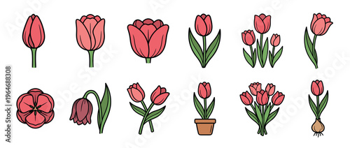 Red tulip flowers collection illustrating various growth stages, from buds to full blooms, and different arrangements.