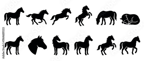 Collection of horse silhouettes in various dynamic poses, including standing, running, jumping, rearing, grazing, and sleeping, representing different equine actions and stages of life.