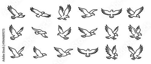 Flying eagles line art illustration set depicting various dynamic poses of majestic birds of prey in flight.