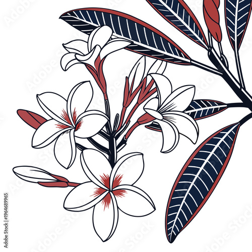 frangipani vector
