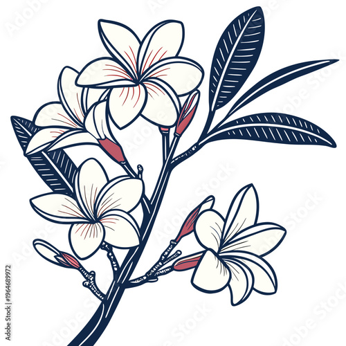 frangipani with leaves