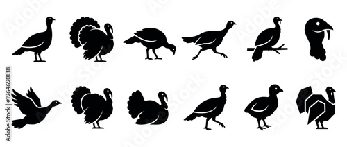 Turkey icons set featuring various poses and styles of the domestic bird, perfect for holiday designs and farm animal illustrations.